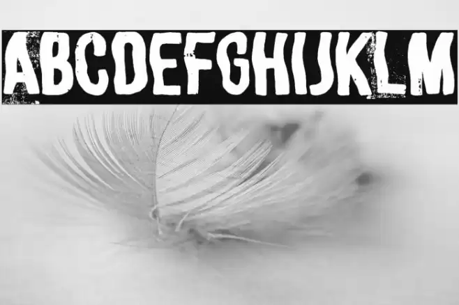 Irregular Poster Font examples