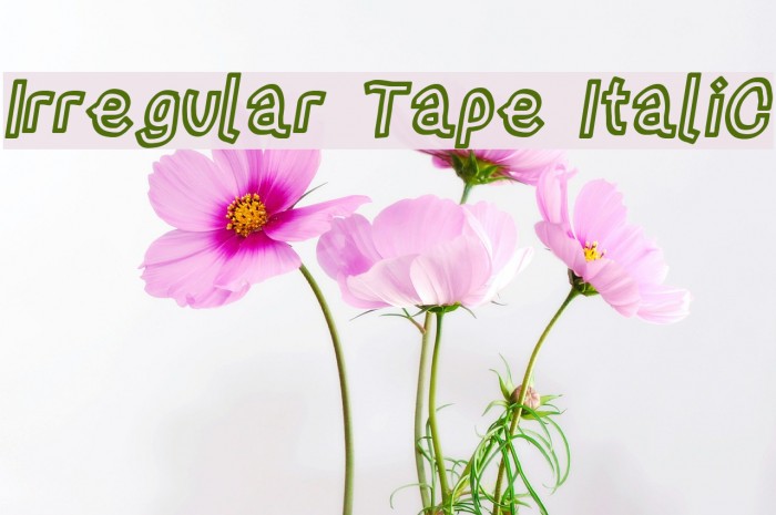 Irregular Tape Italic Example 3