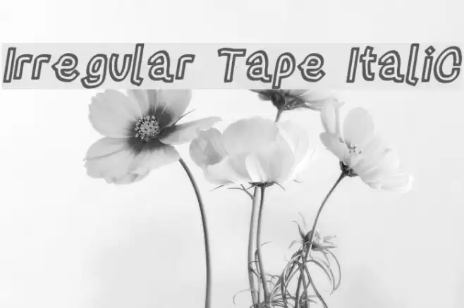 Irregular Tape Italic Font examples