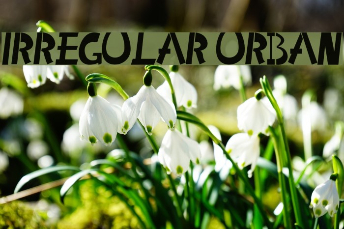 Irregular Urban Example 1