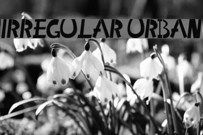 Irregular Urban Font examples