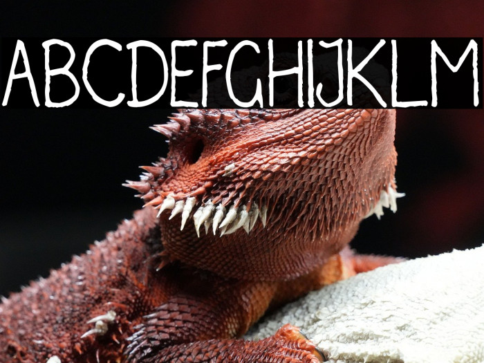 Irregularis Example 1