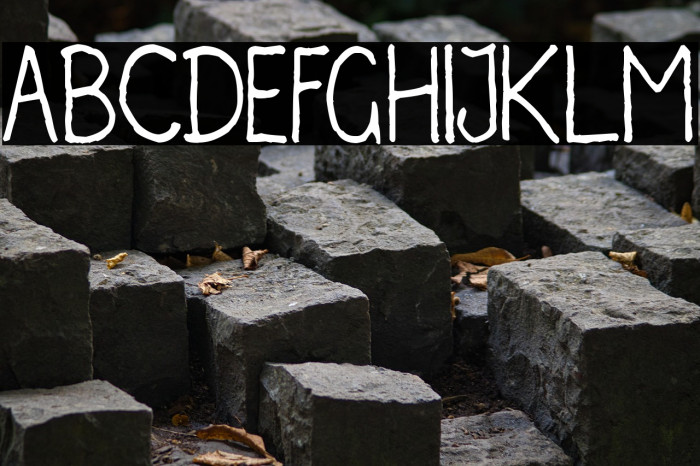 Irregularis Example 2