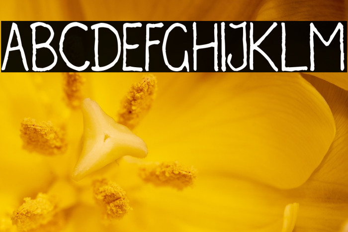 Irregularis Example 3