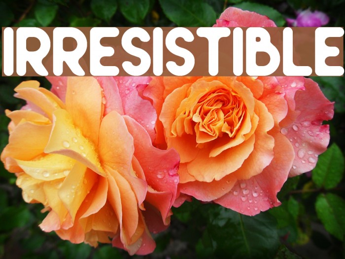 Irresistible Font examples