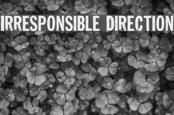 Irresponsible Direction Font examples