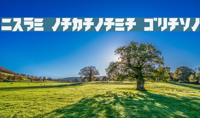 iron katakana Black Font examples
