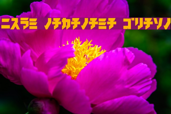 iron katakana Black Font examples