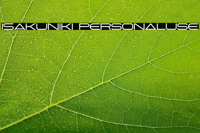 ISAKUNIKI Personaluse Example 2