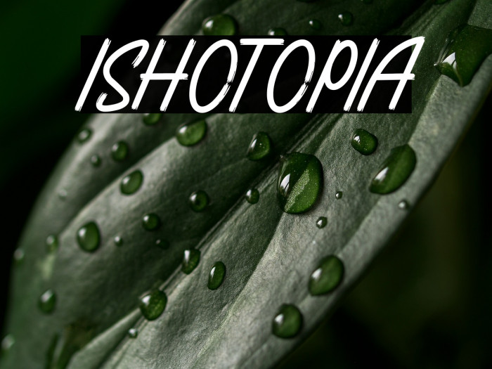 ISHOTOPIA Example 2