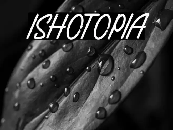 ISHOTOPIA Font examples