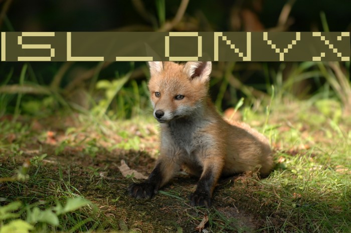 ISL_ONYX Font examples