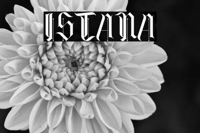 ISTANA Font examples