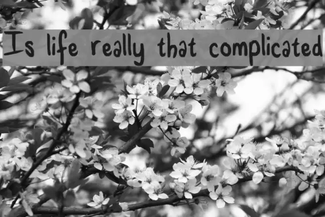 Is life really that complicated Font examples