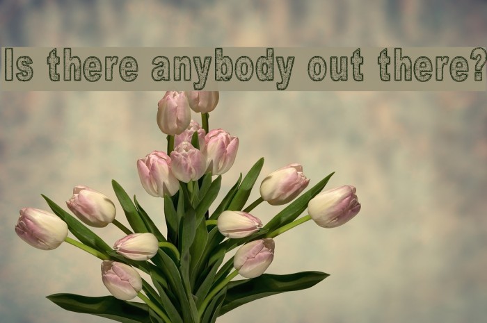 Is there anybody out there? Font examples