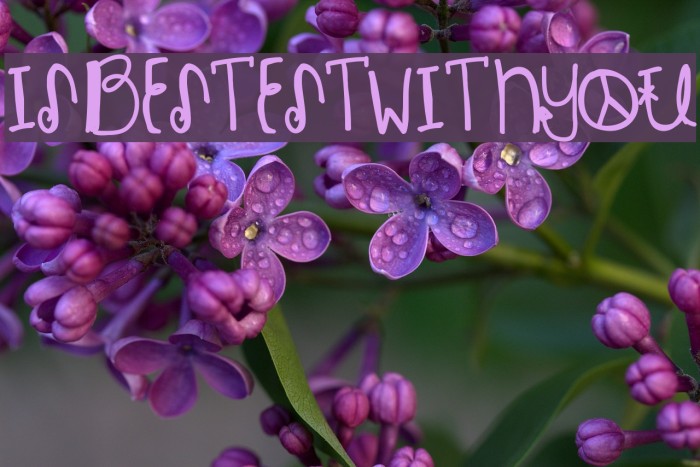 IsBestestWithYou Font examples
