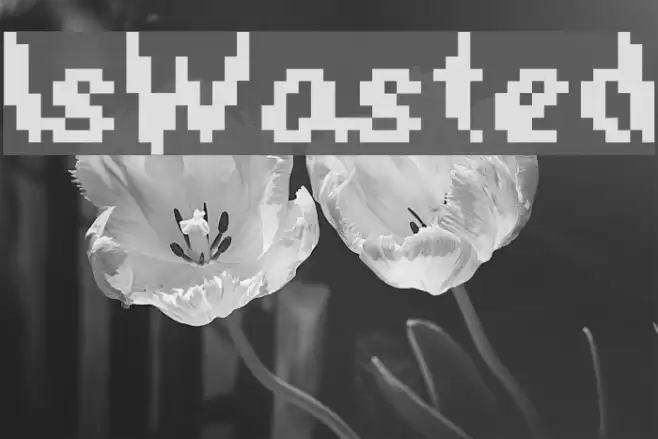 IsWasted Font examples