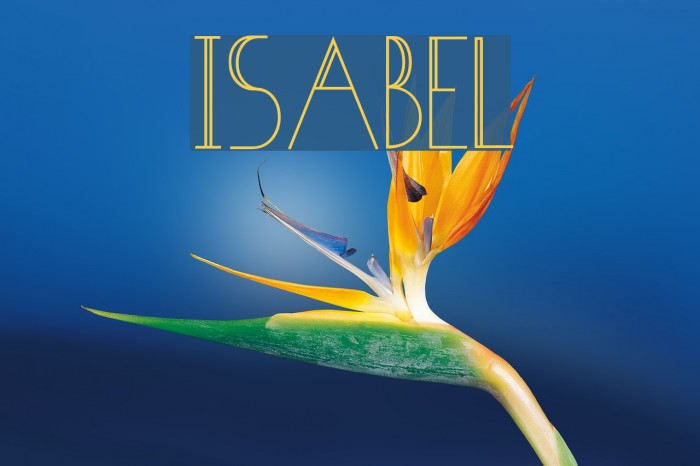 Isabel Font examples