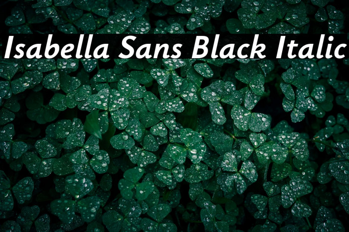 Isabella Sans Black Italic Example 1
