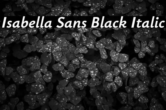 Isabella Sans Black Italic Font examples