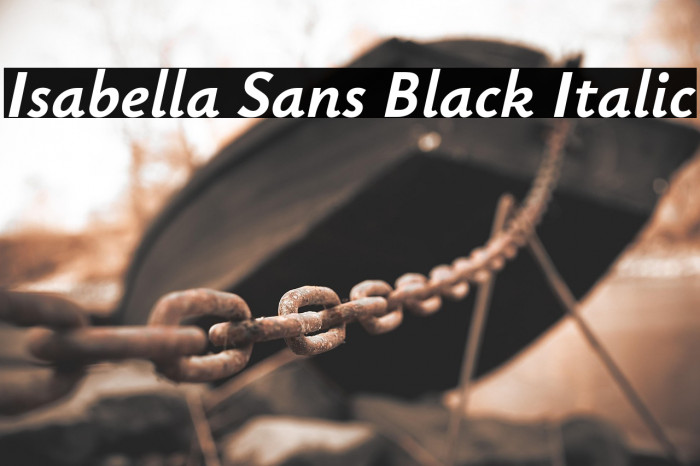 Isabella Sans Black Italic Example 2
