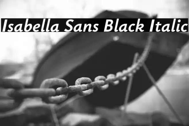 Isabella Sans Black Italic Font examples