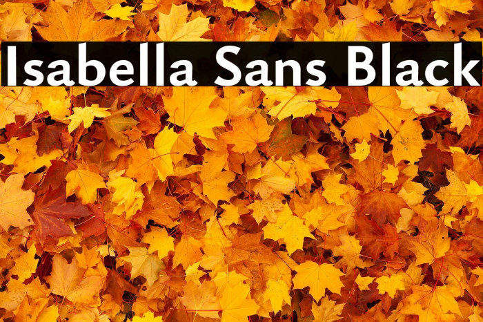 Isabella Sans Black Example 1