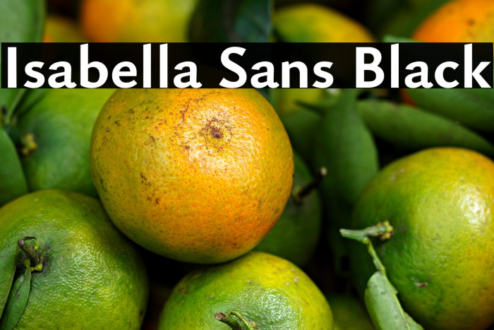 Isabella Sans Black Example 2