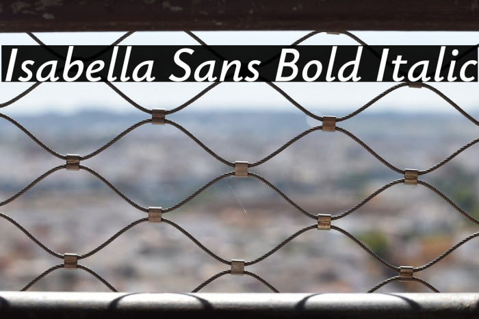 Isabella Sans Bold Italic Example 1