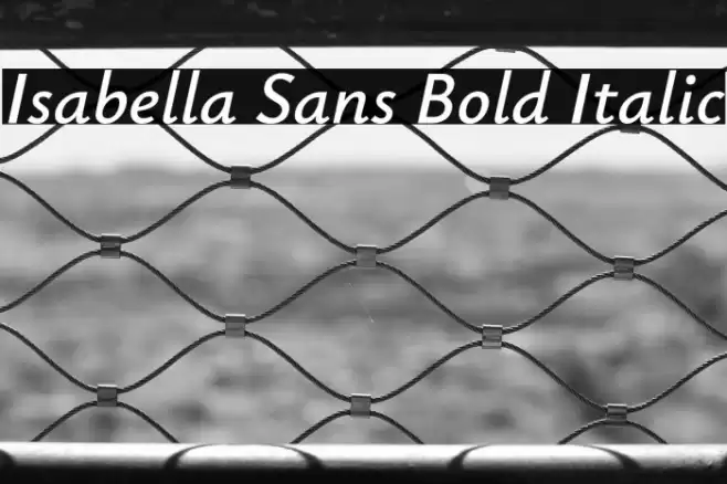 Isabella Sans Bold Italic Font examples