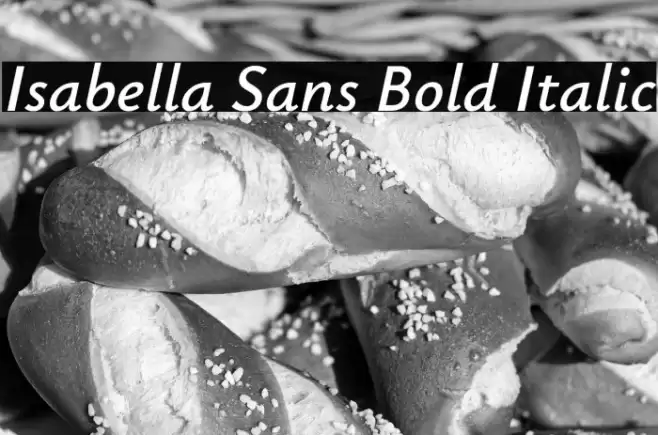 Isabella Sans Bold Italic Font examples