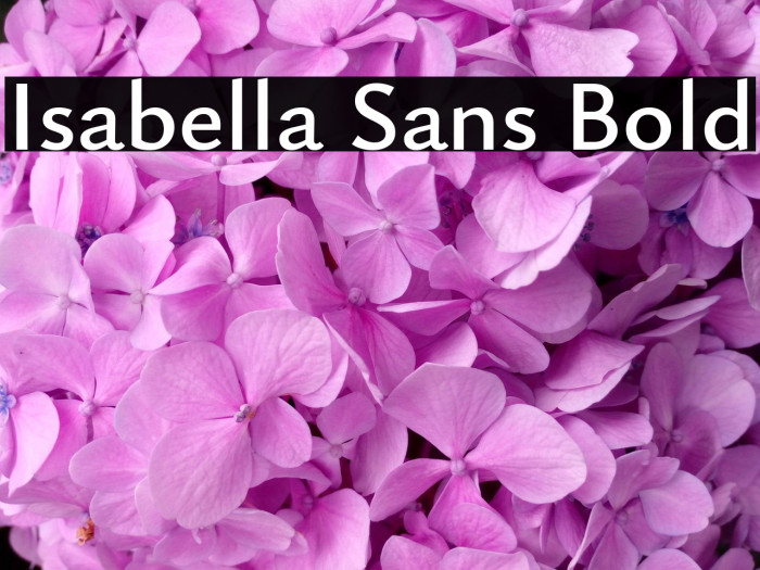 Isabella Sans Bold Example 1