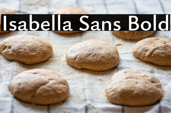 Isabella Sans Bold Example 2