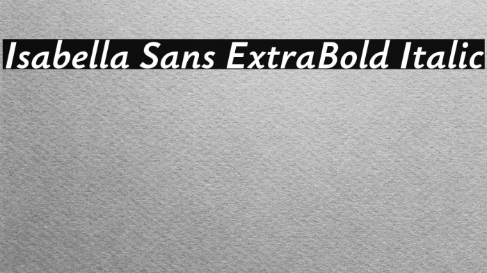 Isabella Sans ExtraBold Italic Example 1