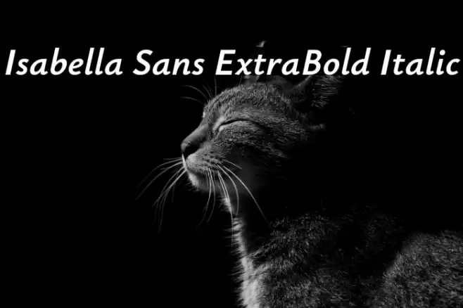 Isabella Sans ExtraBold Italic Font examples