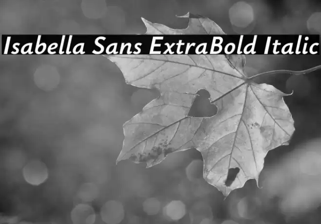 Isabella Sans ExtraBold Italic Font examples