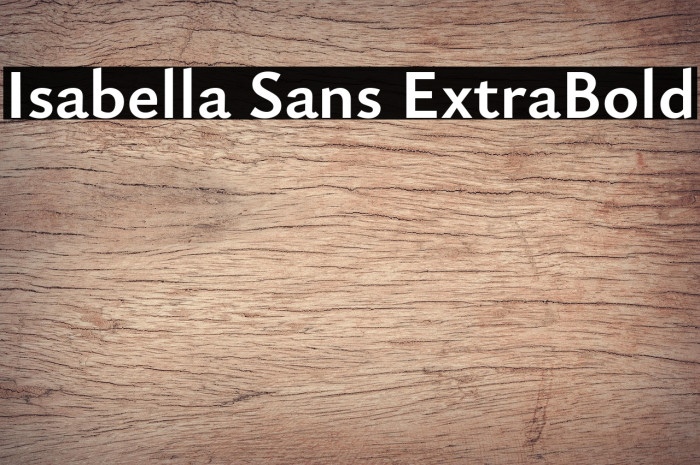 Isabella Sans ExtraBold Example 1