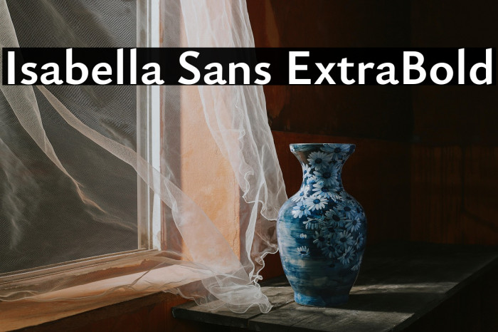 Isabella Sans ExtraBold Example 2