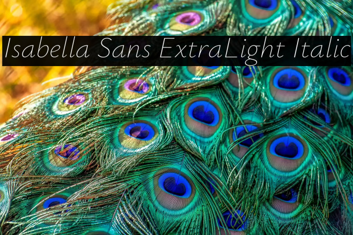 Isabella Sans ExtraLight Italic Example 2