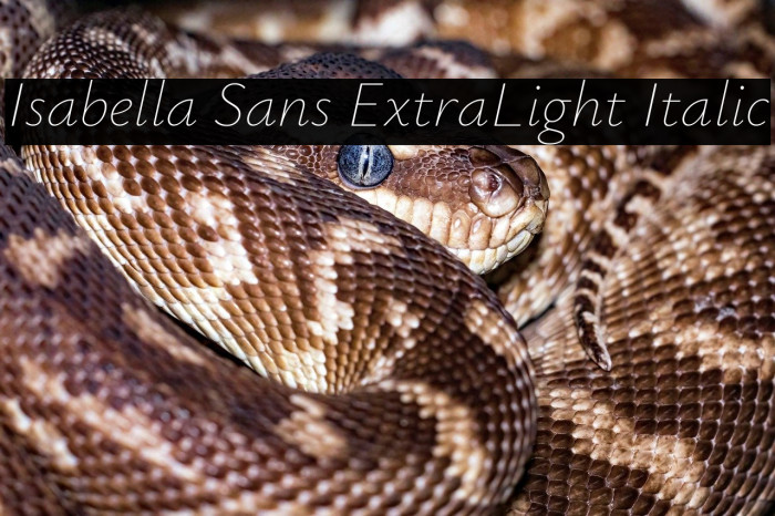 Isabella Sans ExtraLight Italic Example 3