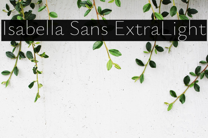 Isabella Sans ExtraLight Example 1