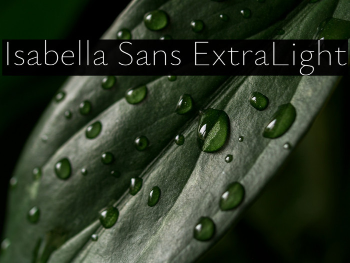 Isabella Sans ExtraLight Example 3