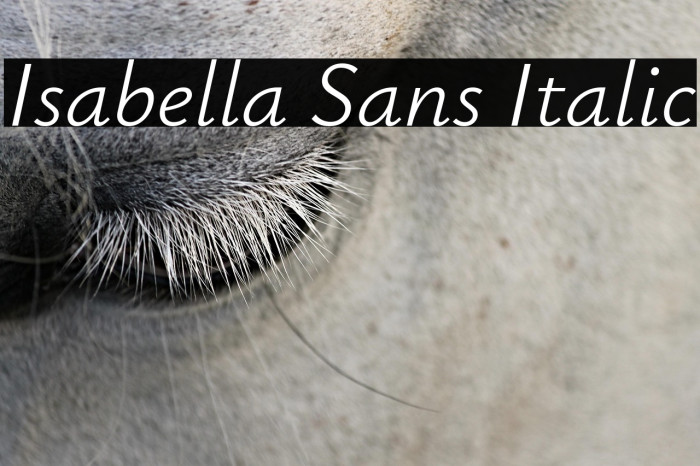 Isabella Sans Italic Example 1