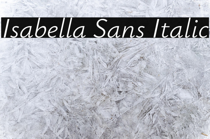 Isabella Sans Italic Example 3