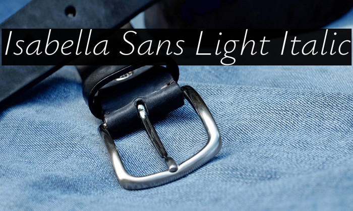 Isabella Sans Light Italic Example 1