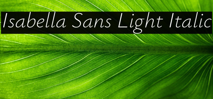 Isabella Sans Light Italic Example 3
