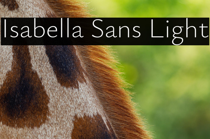 Isabella Sans Light Example 1