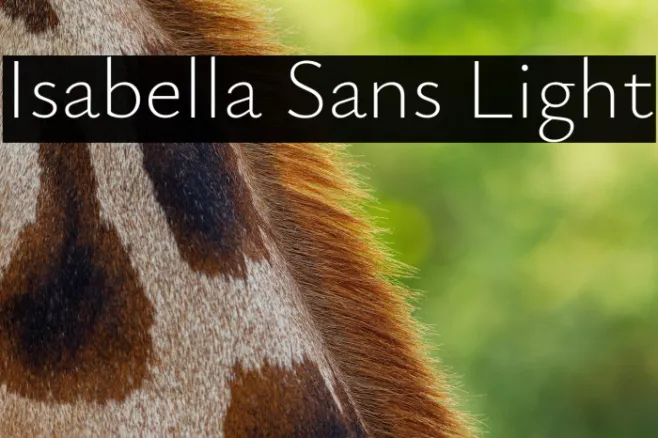 Isabella Sans Light Example 1