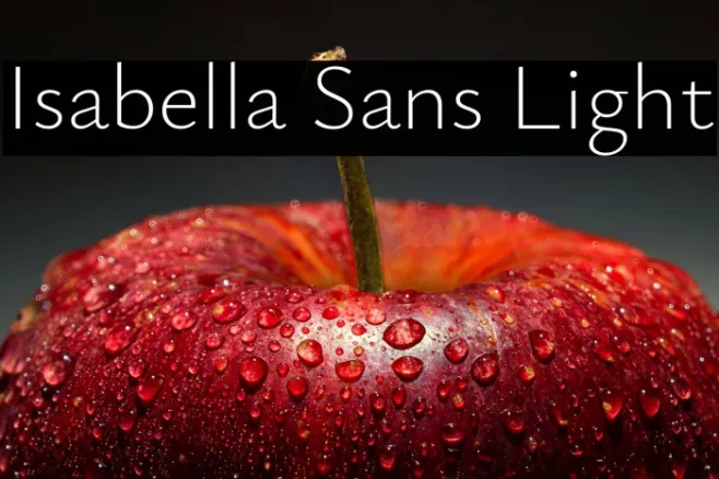 Isabella Sans Light Example 2
