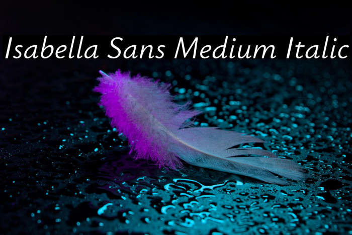 Isabella Sans Medium Italic Example 2